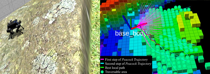 QR-SCAN: Traversable Region Scan for Quadruped Robot Exploration using Lightweight Precomputed Trajectory